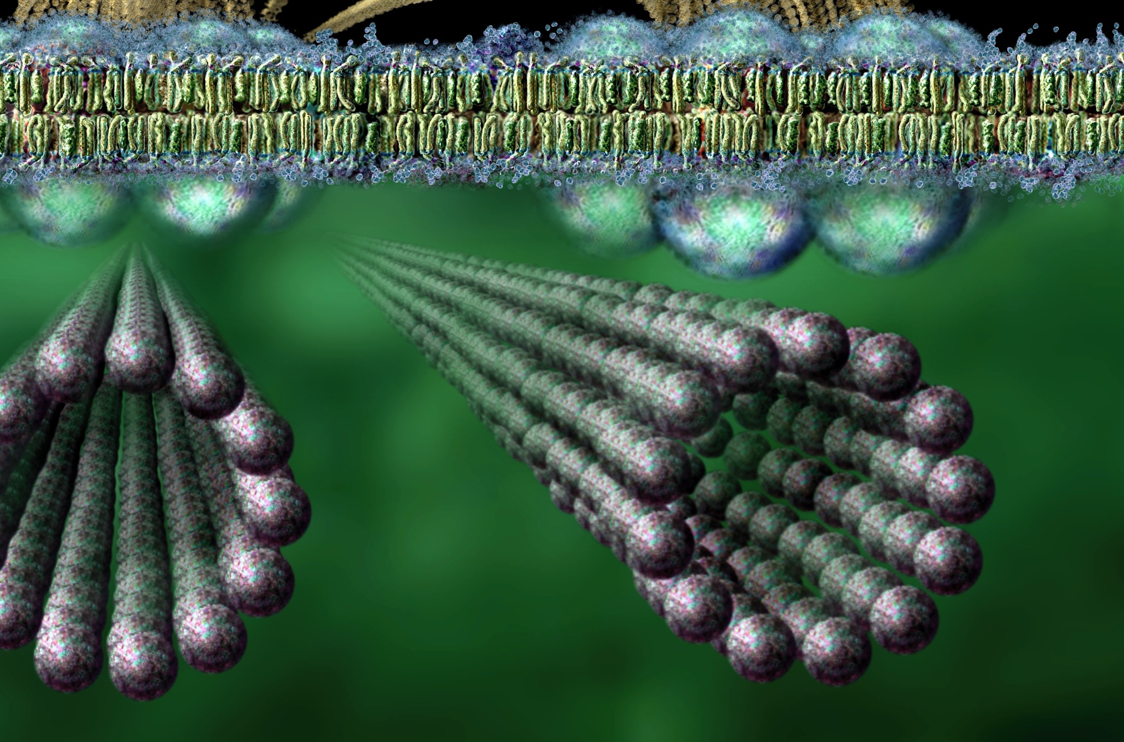 Neuron's Brain, Remarkable Scaffolding Microubules | Jon Lieff, M.D.