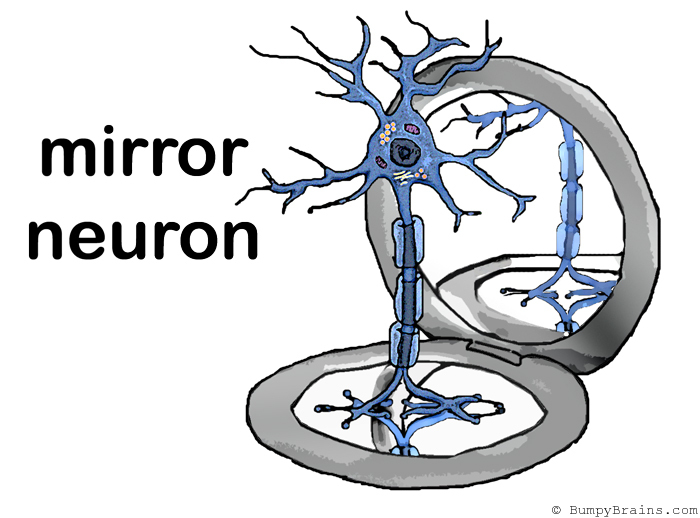 make your mirror neurons quiver synonym