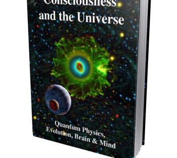 Consciousness and the Universe book cover