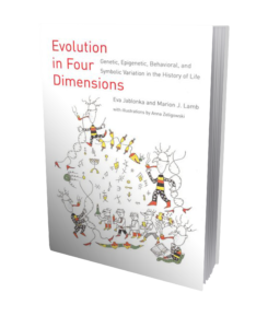 Evolutions in Four Dimensions book cover