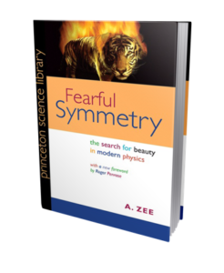 Fearful Symmetry book cover