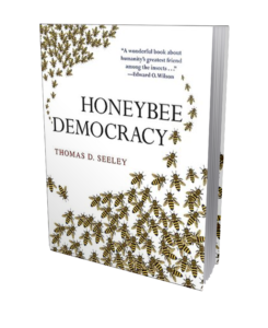 Honeybee Democracy book cover