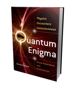 Quantum Enigma book cover