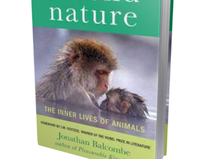 Second Nature book cover