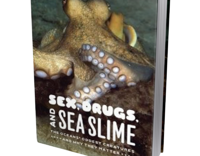 Sex Drugs and Seaslime book cover