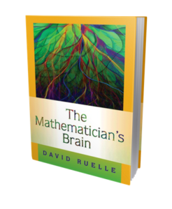 The Mathematicians Brain book cover