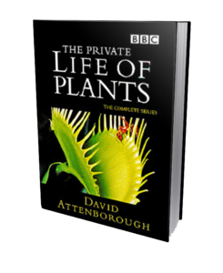 The Private Life of Plants book cover