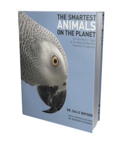 The Smartest Animals on the Planet book cover