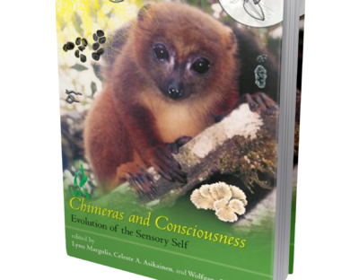 Chimeras and Consciousness book cover