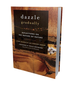 Dazzle Gradually book cover