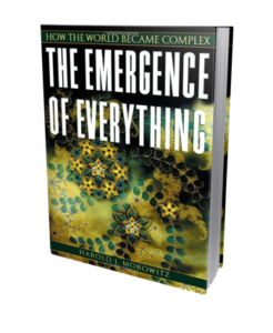 The Emergence of Everything book cover