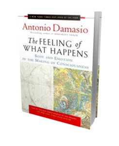 The Feeling of What Happens book cover