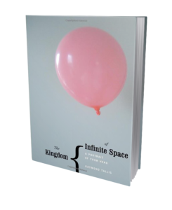The Kingdom of Infinite Space book cover