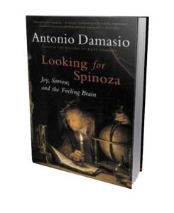 Looking for Spinoza book cover