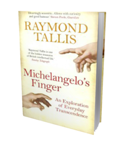 Michelangelo's Finger book cover