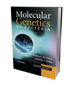 Molecular Genetics of Bacteria book cover