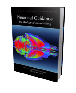 Neuronal Guidance book cover