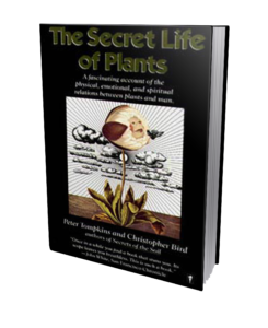 The Secret Life of Plants book cover