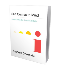 Self Comes to Mind book cover