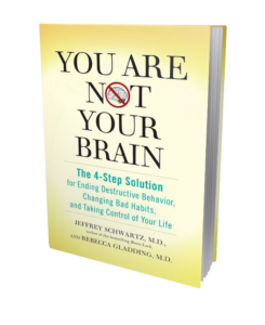 You Are Not Your Brain book cover