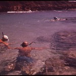 800px-KOKO_HEAD_PARK_IN_THE_HANAUMA_BAY_MARINE_LIFE_CONSERVATION_DISTRICT_IS_A_POPULAR_SNORKELING_AND_SKIN_DIVING_SPOT._ALL..._-_NARA_-_553780