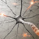The Busy Neuron