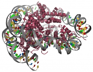 Nucleosome-2PYO