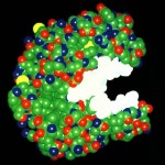 Enzyme2