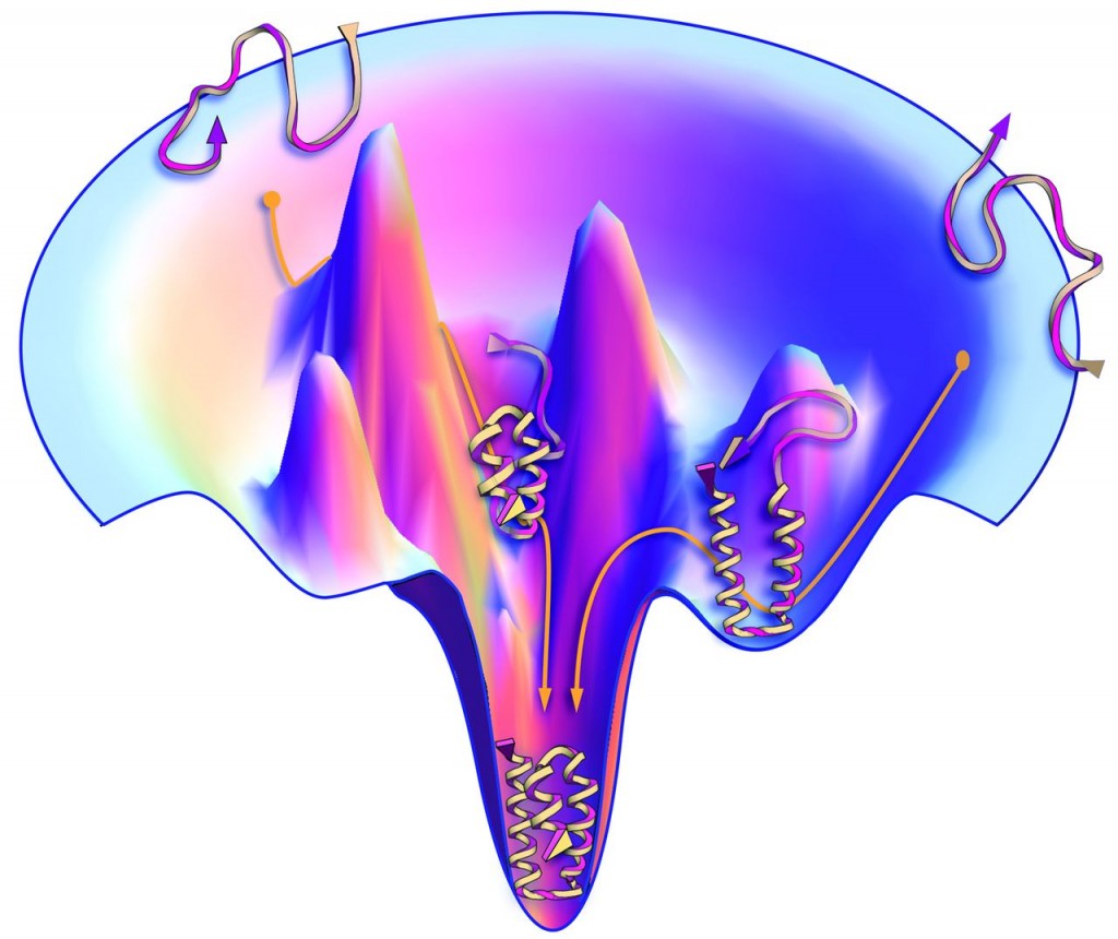 Protein Folding in the Neuron and the Mind Jon Lieff, M.D.