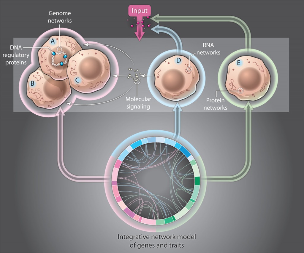 Science Magazine