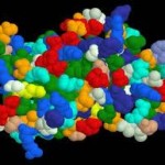 growth hormone