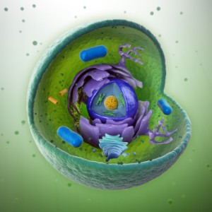 Cell from istock