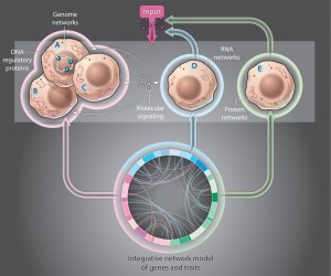 Science Magazine