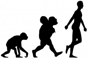 FEATURE   HUMAN ANCESTORS