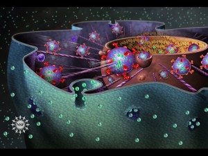 17082_nucleus--rgov-800width