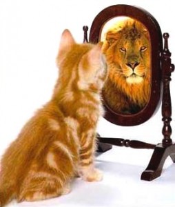 The sense of I   cat lion