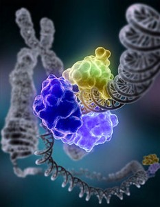 256px-DNA_Repair