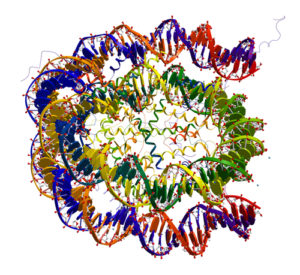 FEATURE   DNA editing