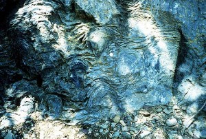 Public Domain  Pre cambrian petrified biofilm  Stromatolites