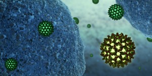 Hepatitis B Virus Close To Human Cells