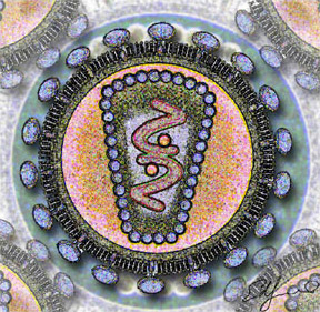 PD   Human_Immunodeficency_Virus_-_stylized_rendering
