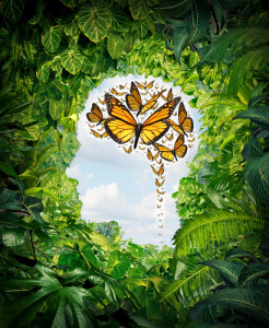 shutterstock_179204051  leafy brain meditation