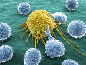 FEATURE Cancer and B Cells iStock_000019908954XSmall