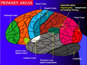 PD Brain regions visual auditory