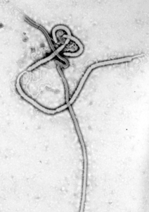 PD  CDC ebola