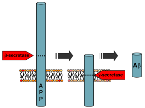 PD  APP_processing