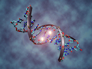 Christoph-bock  wik  DNA_methylation