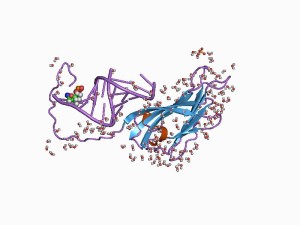 PD  protein of satellite virus