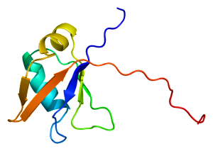 PDBbot  TDP43 Protein_TARDBP_PDB_1wf0