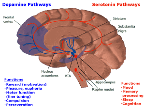 PD Dopamineseratonin